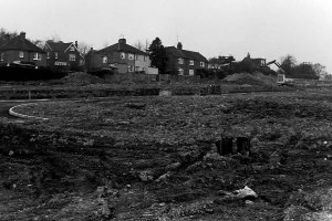 The fields that became Glenleigh Walk