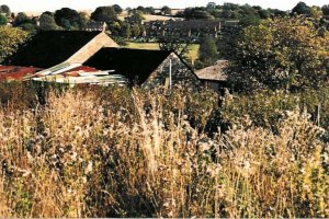 The fields that became Glenleigh Walk