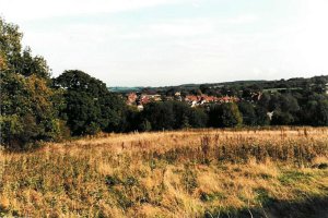 The fields that became Glenleigh Walk