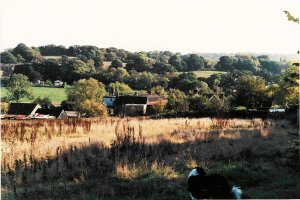 The fields that became Glenleigh Walk