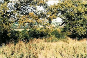 The fields that became Glenleigh Walk